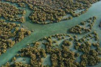 Parc national des mangroves